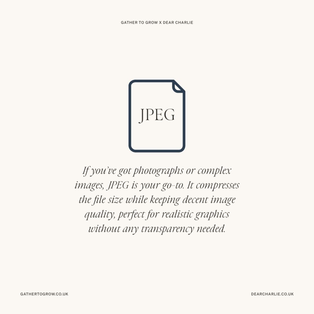 Infographic about JPEG and when to use them on your website: If you’ve got photographs or complex images, JPEG is your go-to. It compresses the file size while keeping decent image quality, perfect for realistic graphics without any transparency needed.