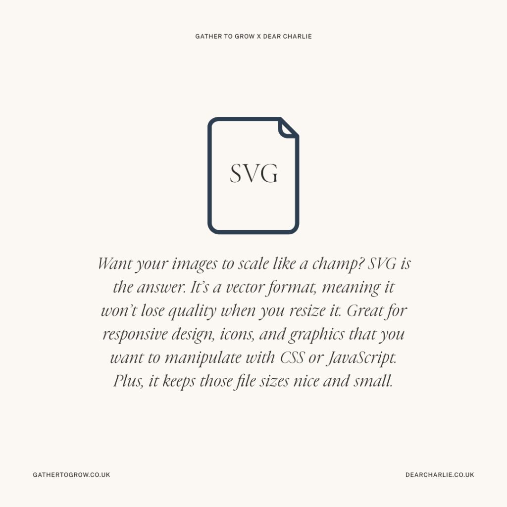 Infographic about SVG and when to use them on your website: Want your images to scale like a champ? SVG is the answer. It’s a vector format, meaning it won’t lose quality when you resize it. Great for responsive design, icons, and graphics that you want to manipulate with CSS or JavaScript. Plus, it keeps those file sizes nice and small.